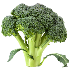 Picture of Broccoli.