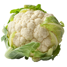 Picture of Cauliflower.