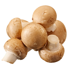 Picture of Mushrooms.