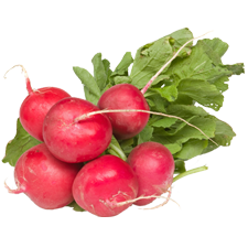 Picture of Radishes.